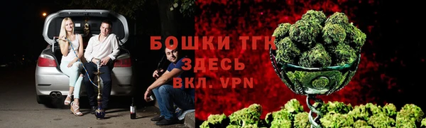 твердый Алексеевка