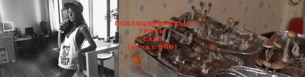 гидропоника Алексин