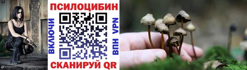 Купить где  Таштагол  Галлюциногенные грибы GOLDEN TEACHER 
