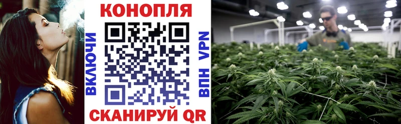 Каннабис LSD WEED  Купить закладки  Таштагол 